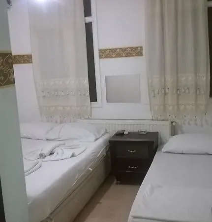 Проживание в семье Senlik