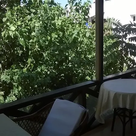 Проживание в семье Senlik