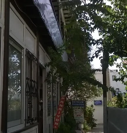 Senlik Проживание в семье *